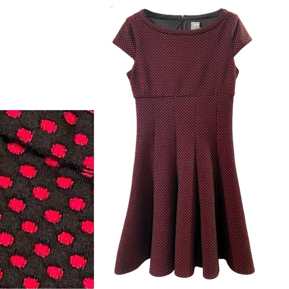 Taylor Fit and Flair Dress Black with Red Swiss Dots Size 6